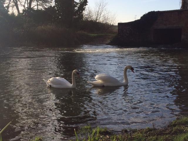 Sculthorpe Mill Hotel Fakenham Luaran gambar