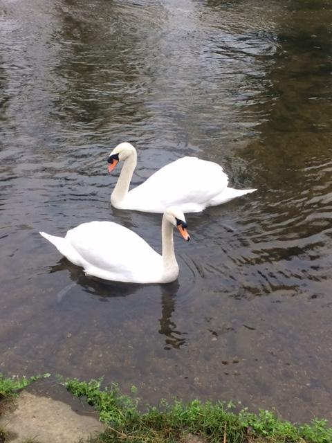 Sculthorpe Mill Hotel Fakenham Luaran gambar
