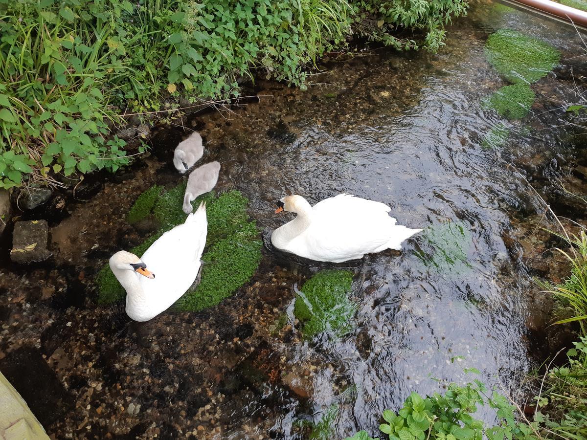Sculthorpe Mill Hotel Fakenham Luaran gambar